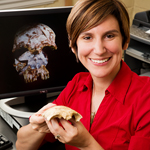 University of Illinois anthropology professor Laura Shackelford and her colleagues uncovered a fossil skull that rewrites the history of modern human migration in Southeast Asia.