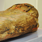 The Spurlock Museum mummy returned to Carle Clinic for a much-improved CT scan from the one performed in 1990.