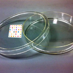 A colorimetric sensor array is placed in a Petri dish for culturing bacteria and scanned with an ordinary flatbed photo scanner kept inside a lab incubator. The dots change color as they react with gases the bacteria produce.