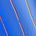 Three parallel memory bits with carbon nanotube electrodes (false color image based on topographic profile from atomic force microscopy). The middle bit is in the 