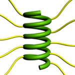 Researchers found that elongating side chains with charged ends enabled short proteins to coil into a stable helix.