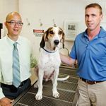 Tim Fan, a professor of veterinary clinical medicine, left, and chemistry professor Paul Hergenrother, (with a research dog, Hoover) led a study of a compound that shows promise in treating lymphoma in dogs.