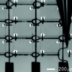 4x4 GaAs LED array interconnected with spanning silver microelectrodes.