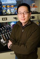 Researcher Gerard Wong led the team of researchers who found a way to fool a bacteria's evolutionary machinery into programming its own death.