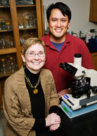 Veterinary biosciences professor Susan Schantz and graduate student Victor Wang found that rats exposed to estradiol were significantly impaired on tasks involving working memory and response inhibition.
