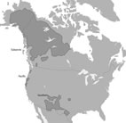 Dark areas represent the distribution of the Athapaskan language family in North America. Modified from http://en.wikipedia.org/wiki/Image:Na-Dene_langs.png with reference to Campbell (1997) and Goddard (1996).