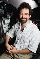 Physics professor Paul Selvin put the different models of voltage sensor movement in ion channels to the test.