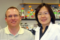 Rodney Johnson, a professor of animal sciences, and graduate student Saebyeol Jang found that a plant flavonoid, luteolin, inhibited a key pathway in the inflammatory response of some brain cells.