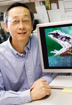 Albert Feng, a professor of molecular and integrative physiology, reported his latest frog-related findings in the journal Nature.