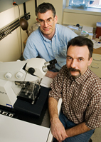 Andrew Belmont, left, and Igor Kireev, in the cell and developmental biology department, have developed a technique for imaging cells under an electron microscope that yields a sharper image of the structure of chromatin, the tightly wound bundle of genetic material and proteins that makes up the chromosomes.
