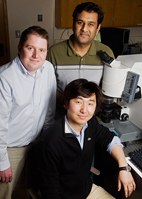 William King, professor of mechanical science and engineering, left; Rohit Bhargava, professor of bioengineering; and Keunhan Park, postdoctoral research associate, have demonstrated a method for simultaneous structural and chemical characterization of samples at the femtogram level (a femtogram is one quadrillionth of a gram) and below.