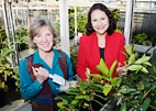 U. of I. natural resources and environmental sciences professor Mary Ann Lila, left, is a co-founder of the Global Institute for Bio-Exploration. Food science & human nutrition professor Elvira de Mejia will lead the program's expansion into the Americas.