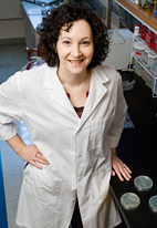Microbiology professor Carin Vanderpool has identified the unique metabolic activities of one of the small ribonucleic acids in bacteria called SgrS.