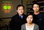 Huey Hing, left, professor of cell and structural biology, and graduate students Ying Yao (seated) and Yuping Wu have found that in the fruit fly's antennal lobe a common nervous system receptor actually inhibits the activity of the protein it binds.