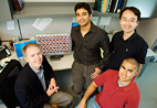 Brian Cunningham, professor of electrical and computer engineering, left, and graduate students, from left, Nikhil Ganesh, Wei Zhang and Patrick Mathias have set a new record for brightness of quantum dots.