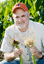 Kevin Steffey, a U. of I. Extension specialist in entomology and a professor of crop sciences, shows the damage inflicted by the corn rootworm (in his right hand) and the protection provided by anti-corn rootworm Bt corn (in his left hand). The continuing effectiveness of Bt corn depends on growers' adherence to insect resistance management strategies, Steffey said.