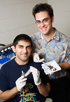 Tony Yannarell, postdoctoral research associate in the Institute for Genomic Biology, right, with undergraduate research assistant Shazan Ahmed, junior in molecular and cellular biology, tracked the passage of tetracycline resistance genes from hog waste lagoons into groundwater wells at two Illinois swine facilities.