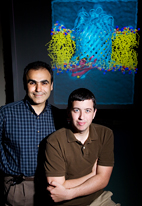 Biochemistry professor Emad Tajkhorshid and graduate student James Gumbart used two software programs developed in the U. of I.'s National Institutes of Health Resource for Macromolecular Modeling and Bioinformatics to painstakingly model a critical part of a mechanism by which bacteria take up large molecules.