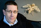 Entomology professor Gene Robinson is the principal investigator on a study that looked at queen bee longevity.