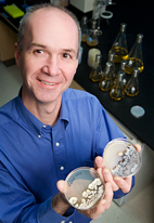 Microbiology professor William W. Metcalf, holding petri dishes containing Streptomyces, is one of five principal investigators at the U. of I. who have been awarded a $7 million grant from the National Institutes of Health to discover, engineer and produce a promising - yet little explored - class of antibiotic agents.
