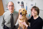 Anne Barger, professor of veterinary pathobiology, and Tim Fan, professor of veterinary clinical medicine, have found that a molecular pathway known to have a role in the progression of bone cancer in humans is also critical to the pathology of skeletal tumors in dogs and cats. Barger's dog, Stu, poses with the researchers.