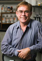 Hugh Robertson, professor of entomology and an affiliate of the university's Institute for Genomic Biology, has studied the honey bee's chemoreceptors for smell and taste.
