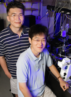 Researchers at the U. of I. have observed the life cycle of RecA, a protein that plays a major role in repairing damaged DNA. A better understanding of how these proteins function could help our understanding of cancer. Pictured: Taekjip Ha (left), professor of physics, and one of the co-authors, graduate student Chirlmin Joo.