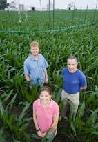 Stephen P. Long, a U. of I. plant biologist and crop scientist, right, led colleagues Elizabeth A. Ainsworth, professor of plant biology and Andrew D.B. Leakey, research fellow in the Institute of Genomic Biology at Illinois on continued research conducted at the SoyFACE farm.