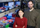 Michael Strano, professor of chemical and biomolecular engineering, and Esther Jeng, a graduate research assistant, have found that DNA-wrapped nanotubes can be used to target specific DNA sequences.