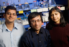 Milan Bagchi, a professor of molecular and integrative physiology, is flanked by Indrani Bagchi, a professor of veterinary biosciences, and her graduate student Raju Mantena.