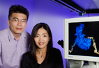 Taekjip Ha, a professor of physics, left, and his postdoctoral fellow Sua Myong studied the Rep helicase from an E-coli bacterium.