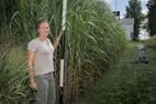 Emily A. Heaton, a doctoral student of Stephen P. Long, a professor of crop sciences and of plant biology, stands next to one of three Miscanthus plots at the intersection of South First Street and Airport Road in Savoy. Giant Miscanthus, a hybrid grass that can grow 13 feet high, drops its slender leaves in the winter, leaving behind tall bamboo-like stems that can be harvested in early spring and burned for fuel.