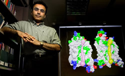 Above: Researcher Emad Tajkhorshid stands by a computer-generated simulation of two aquaporins sliced open. Below: At left, a glycerol molecule lines up to enter a glycerol channel (yellow), while at right a water molecule approaches a slightly narrower channel only it can fit through.