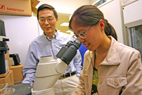 Huimin Zhao, left, a professor of chemical and biomedical engineering, and graduate student Zhilei Chen have changed the function of a protein using a co-evolution approach.