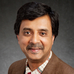 Madhu Viswanathan, the Diane and Steven N. Miller Professor in Business, will receive the Sheth Distinguished Faculty Award for International Achievement.