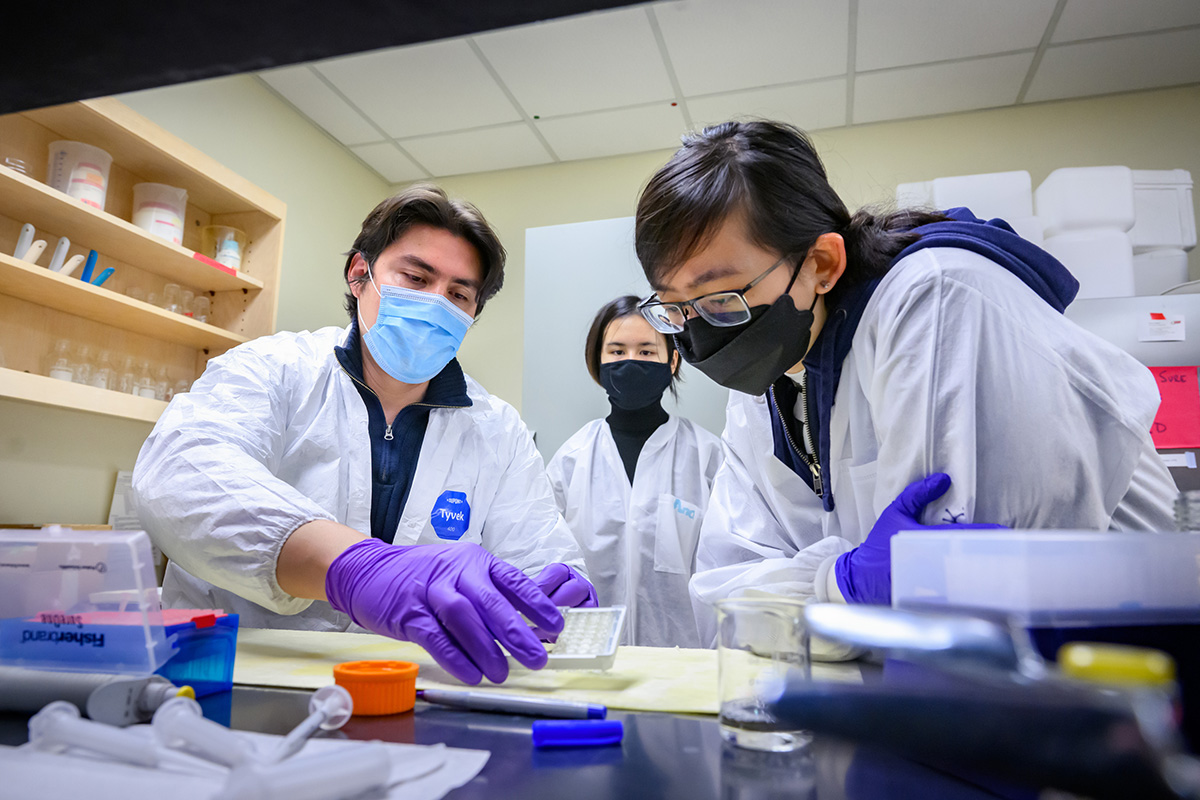 Working in the lab, the team continues its work on soybean proteins