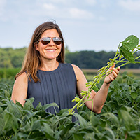 Elizabeth Ainsworth standing in a soybean field. She is holding a soybean plant.