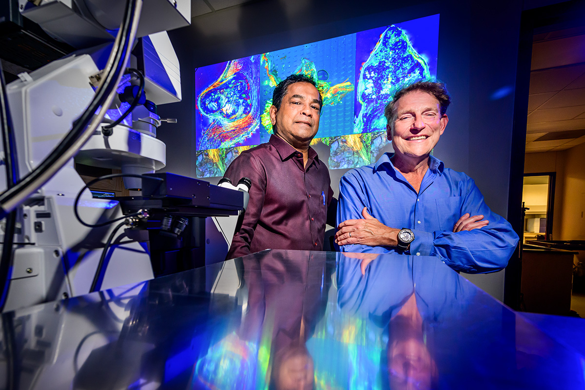 A heart of stone: Study defines the process of and defenses against cardiac valve calcification