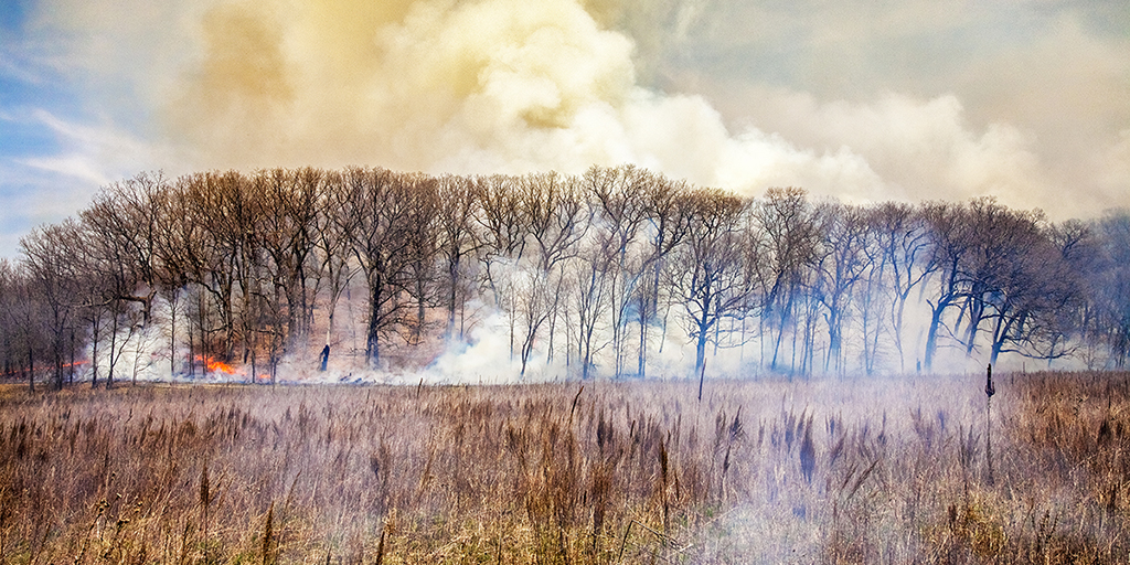 Photo of a woodland and prairie fire with white smoke billowing from trees in the distance.