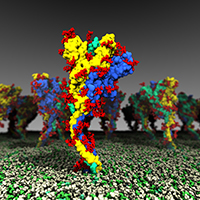 A computer rendering of an atomic-level model of viral spike proteins