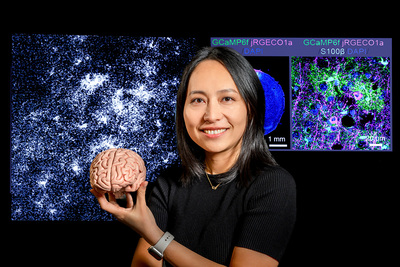 Portrait of Xinzhu Yu holding a model of a brain