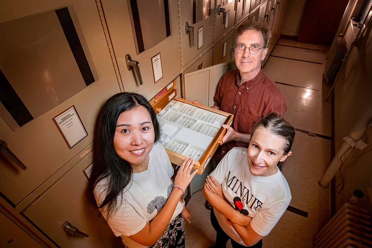 Research team in insect collection.