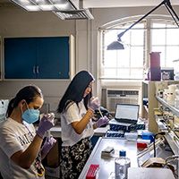 Photo of researchers in the laboratory.