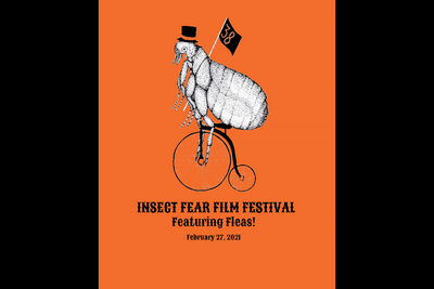 Image of Insect Fear Film Festival poster with a flea riding a penny-farthing.