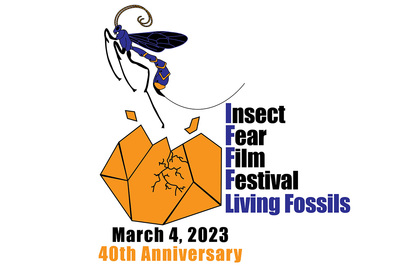 Image of the logo design for the 40th Insect Fear Film Festival, featuring a dragonfly bursting out from a rock or fossil.