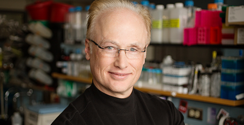 Microbiology professor Steven Blanke is now a fellow of the American Academy of Microbiology.