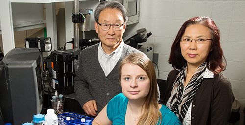 Illinois professor Kyekyoon "Kevin" Kim, graduate student Elizabeth Joachim and research scientist Hyungsoo Choi developed tiny gelatin nanoparticles that can carry medication to the brain, which could lead to longer treatment windows for stroke patients.