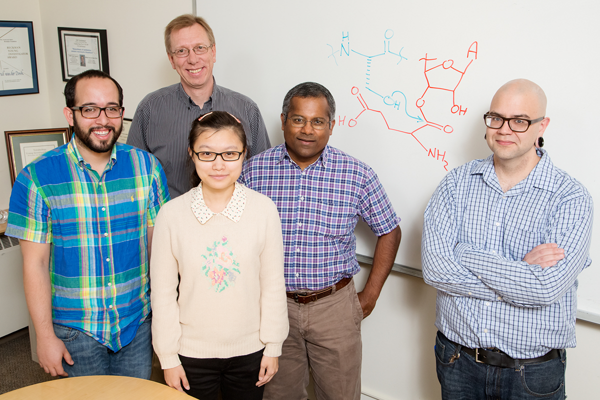 From left, University of Illinois graduate research assistant Manuel A. Ortega, chemistry professor Wilfred van der Donk, graduate student Yue Hao, biochemistry professor Satish Nair, and postdoctoral researcher Mark Walker solved a decades-old mystery into how a broad class of natural antibiotics are made.