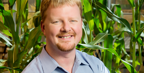 Plant biology professor Andrew Leakey and colleagues report that levels of zinc, iron and protein drop in some key crop plants when grown at elevated CO2 levels.