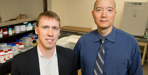 University of Illinois chemistry professor Paul Hergenrother, left, and veterinary clinical medicine professor Tim Fan led a study of an anti-cancer compound in pet dogs that is now headed for human clinical trials.